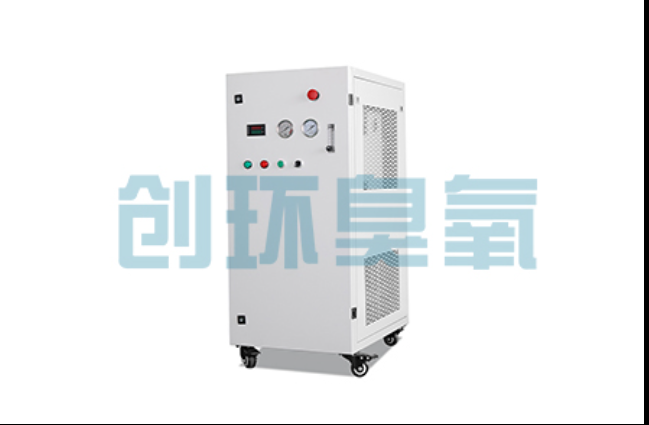 桦甸工厂化养鲈必看:2026年臭氧发生器替代传统消毒的最新方案