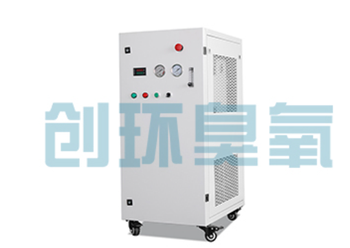 桦甸石斑鱼养殖水质调控完整指南:臭氧发生器配置与操作步骤
