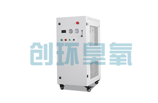 桦甸比传统换水更高效?臭氧发生器在石斑鱼养殖中的水质净化原理解析