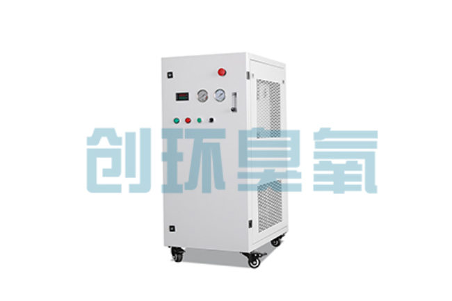 桦甸比传统换水更高效?臭氧发生器在石斑鱼养殖中的水质净化原理解析